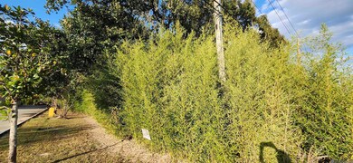 TBD Greenwell Springs Rd, Baton Rouge, LA 70739 - photo 4