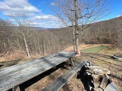 Peaceful Picnic Table