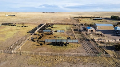 Cattle Pens