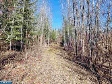 9298 Hingeley Rd, Meadowlands, MN 55765 - photo 5