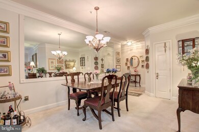 11306 Westbrook Mill Ln unit 203, Fairfax, VA 22030 - photo 5