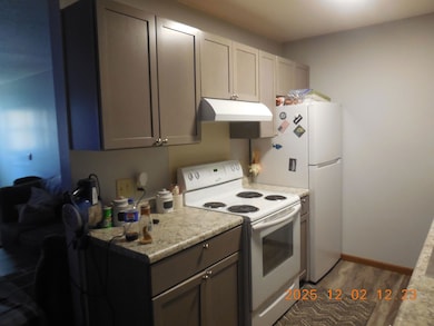 421 S Rebecca St, Gays Mills, WI 54631 - photo 5