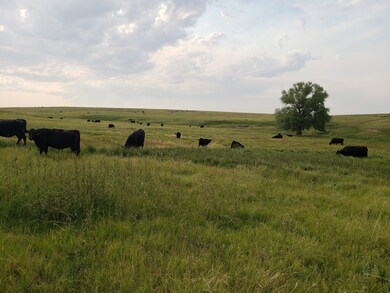 17806 Co Rd 9 unit Flagler CO, Flagler, CO 80815 - photo 3