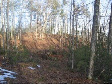 0 Scripps Ln unit E-32 4845667, Mason, NH 03048 - photo 5