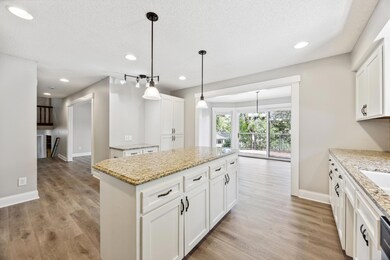 6382 Goldenrod Ln N, Maple Grove, MN 55369 - photo 6