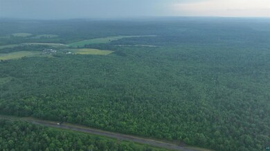 10 Acres On County Highway A, Iron River, WI 54847 - photo 7