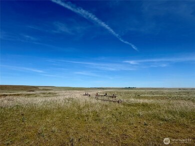 26500 7 Springs Dairy Rd, Deer Meadows, WA 99122 - photo 6