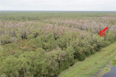 Drone / aerial view with a view of trees