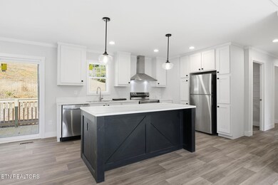 370 Tanasi Dr, Newport, TN 37821 - photo 6