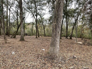 00 County Road 4021, Dayton, TX 77535 - photo 6