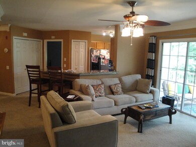 12471 Hayes Ct unit 204, Fairfax, VA 22033 - photo 5