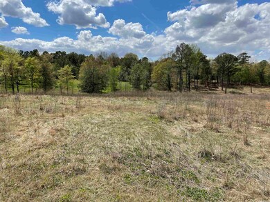 157 Greene 705 Rd, Jonesboro, AR 72401 - photo 6