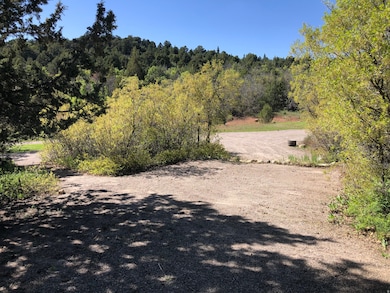 149 Meadow Rd unit 149, Mount Pleasant, UT 84647 - photo 5