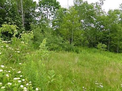 Land/Lot.