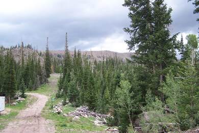 6 S Ranger Ct unit CBMHS u-B b-C lot 2, Brian Head, UT 84719 - photo 5