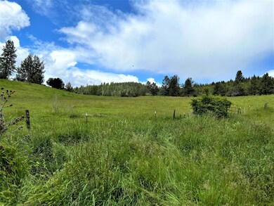 31275 Dixie Creek Rd, Prairie City, OR 97869 - photo 2