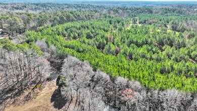 DJI_20240224181652_0790_D(1)