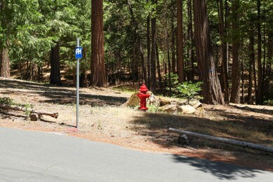 0 Speckled Rd, Pollock Pines, CA 95726 - photo 7