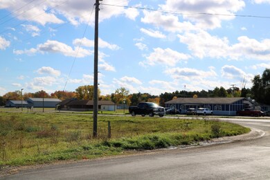 Lot A Blackmer Rd, Carson City, MI 48811 - photo 5