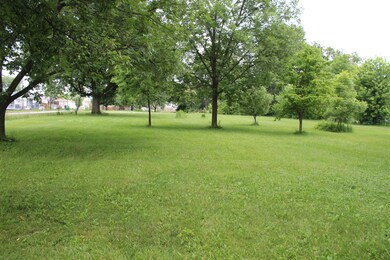 Fenced Back Yard