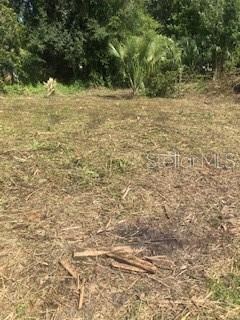 Owner has had lot partially cleared.