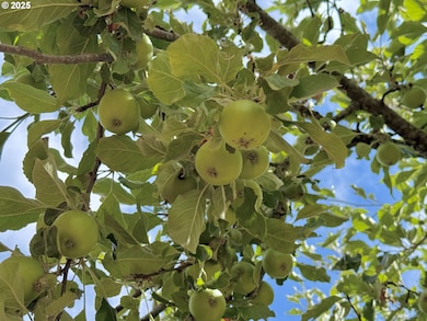 11892 Dupee Valley Rd, McMinnville, OR 97128 - photo 7