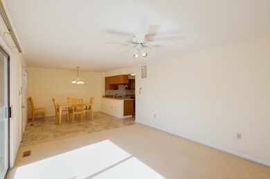234 21st St unit 106, Avalon, NJ 08202 - photo 4