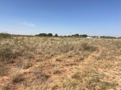Lot 5E W County Road 149 unit Lot 5, Midland, TX 79706 - photo 2