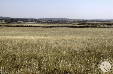 0 Nhn Lindstrom Rd, Shepherd, MT 59079 - photo 2