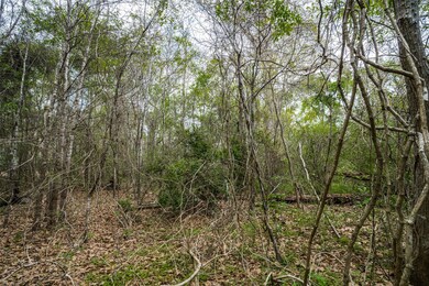 0 County Road 4322 Holly St, Dayton, TX 77535 - photo 5