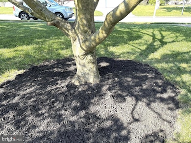 2613 Caranel Rd, Broomall, PA 19008 - photo 4