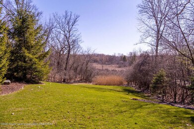 Back yard view