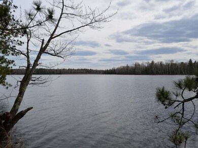 Lot 3 Forrester Rd, Tripoli, WI 54564 - photo 3