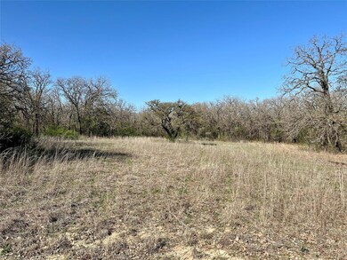 1978 Cain Ln, Weatherford, TX 76088 - photo 4