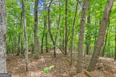 0 Laurel Point unit 10642027, Cleveland, GA 30528 - photo 7