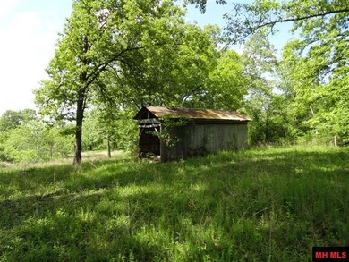 000 Diamond Bay Rd, Union Township, AR 72531 - photo 5