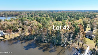 Lot 42 See View, Hertford, NC 27944 - photo 5