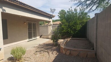 Backyard 1