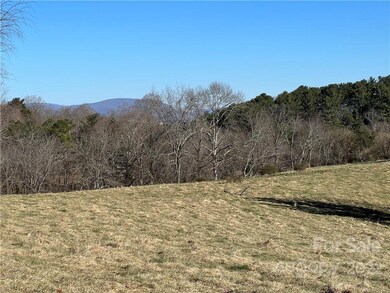 99999 Ridge Rd, Asheville, NC 28806 - photo 4