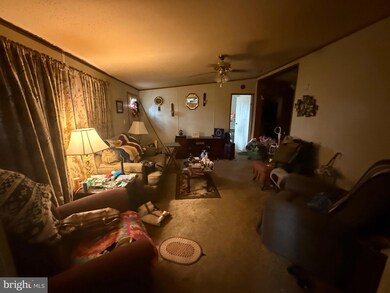 113 Diamond Way, Berkeley Springs, WV 25411 - photo 3