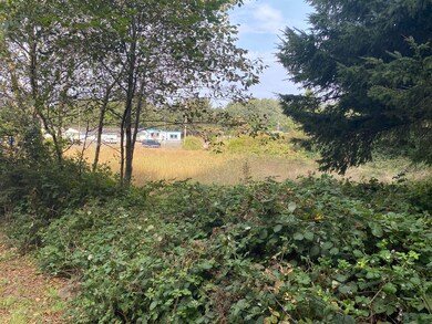 Edge of Parcel 3