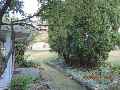 IMG_0901