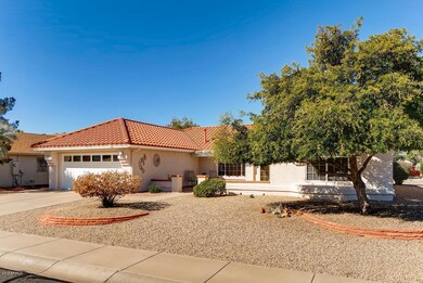 20606 N Natchez Dr Sun City-large-002-13