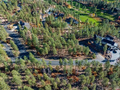 119 Hideout Trail, Durango, CO 81301 - photo 3