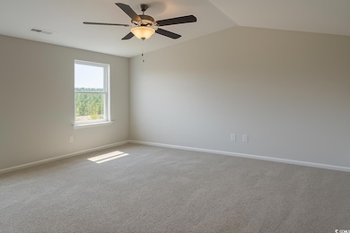 2642 Tansy Rd, Loris, SC 29569 - photo 5