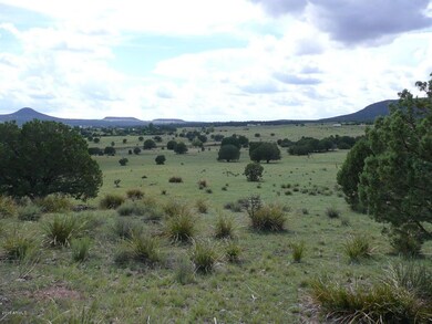 2 Center of acreage looking W
