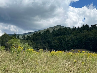 85 Hathaway Rd, Brandon, VT 05733 - photo 5