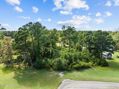 12-web-or-mls-DJI_0075