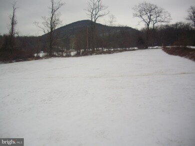 0 Lincoln Way W unit 1000118750, Fort Loudon, PA 17224 - photo 3