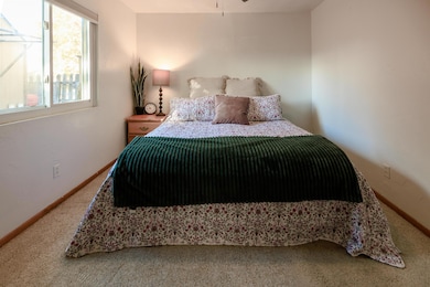 905 E Cleveland Ave, Fruita, CO 81521 - photo 7